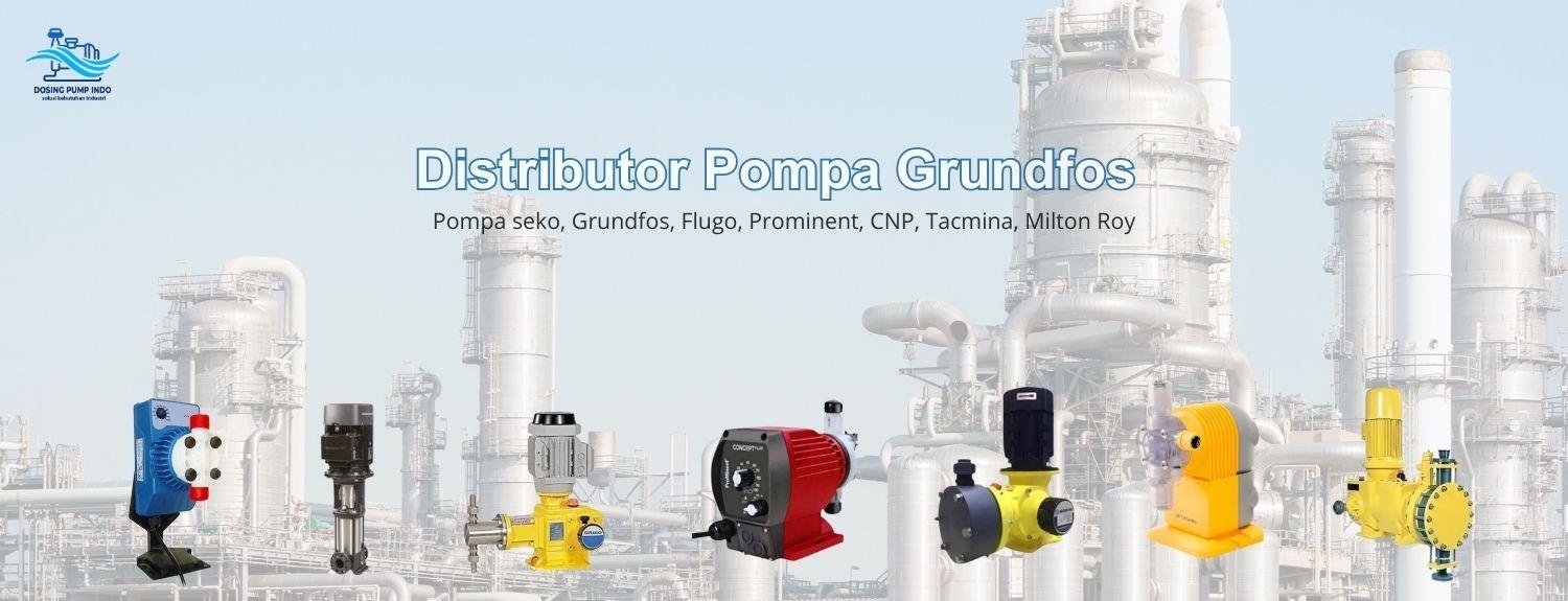 Dosing Pump Grundfos