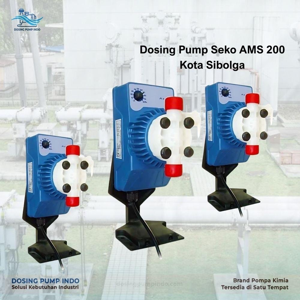 Dosing Pump Seko AMS 200 Kota Sibolga-1