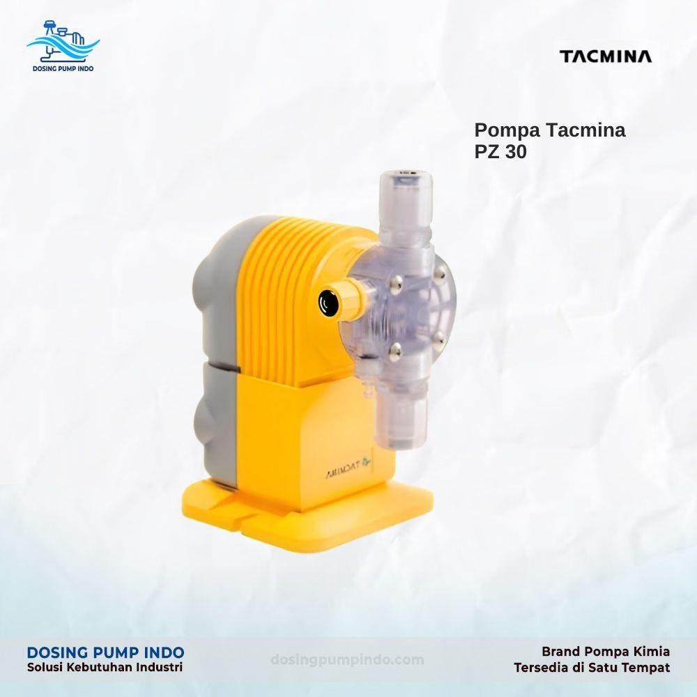 Dosing Pump Tacmina Pz 30 Kota Pariaman-1