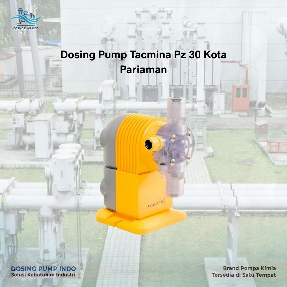Dosing Pump Tacmina