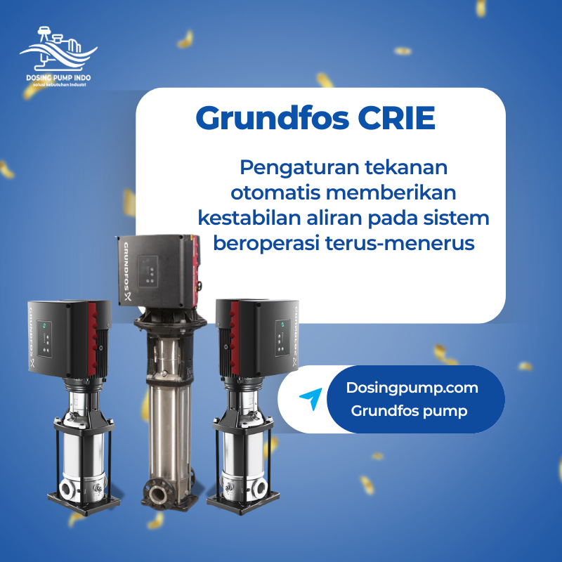 Grundfos CRIE Manual