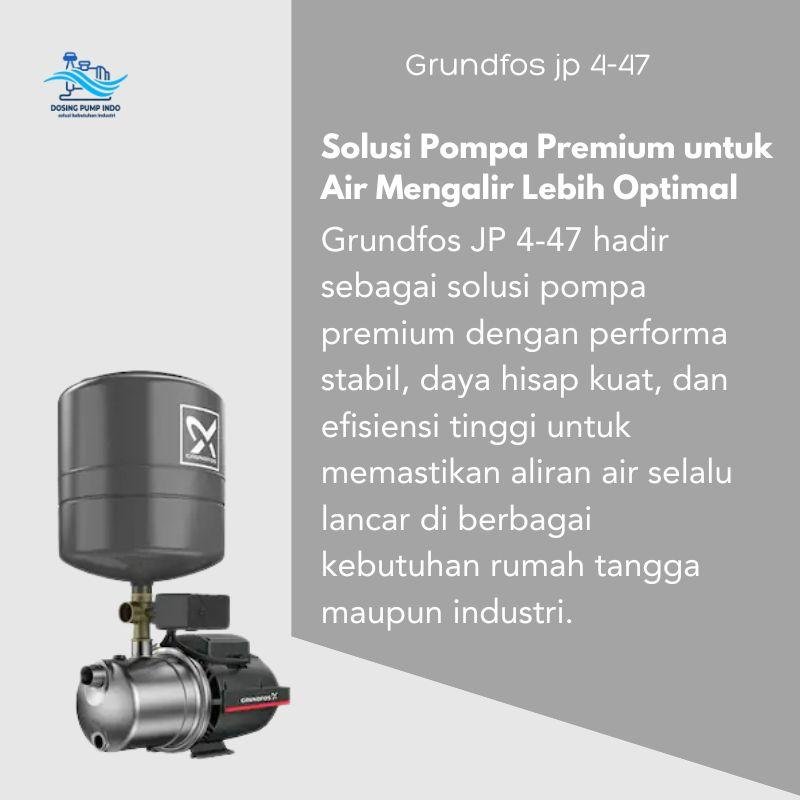 Grundfos JP 4