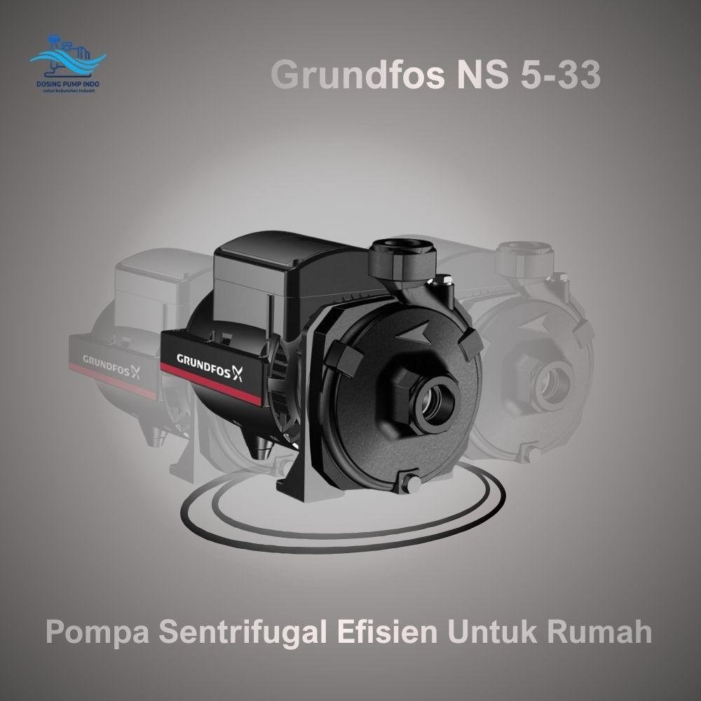 Grundfos NS 5-