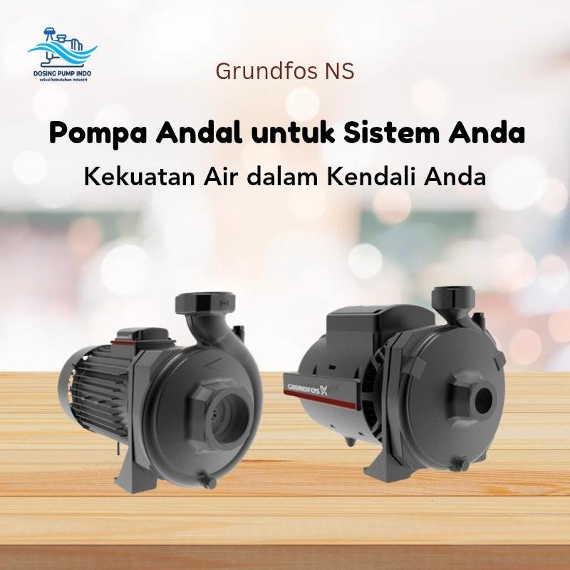 Grundfos NS