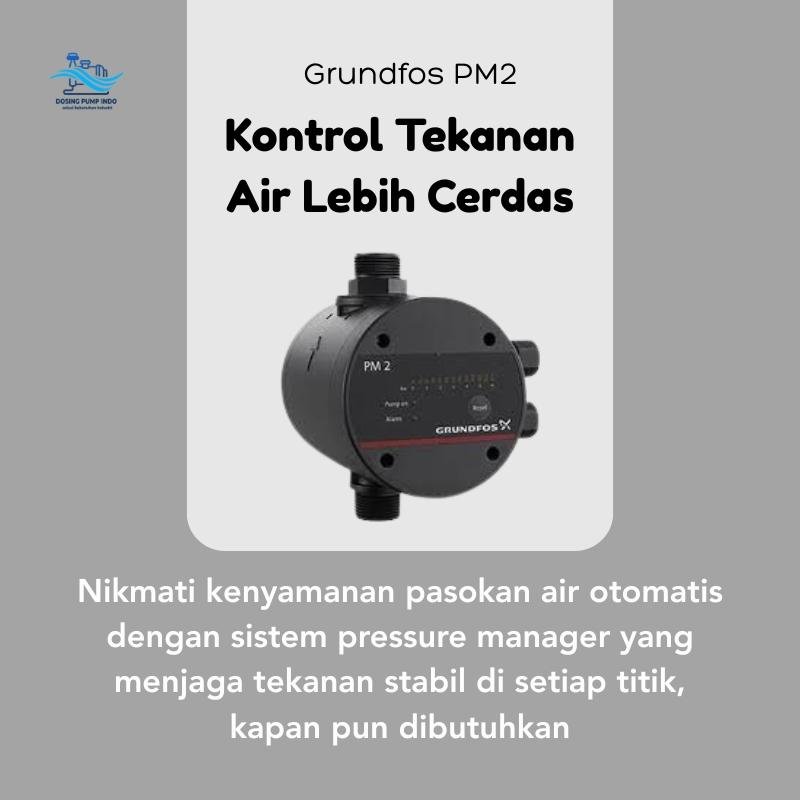 Grundfos PM2
