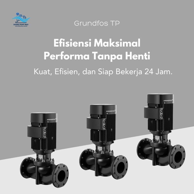 Grundfos TP