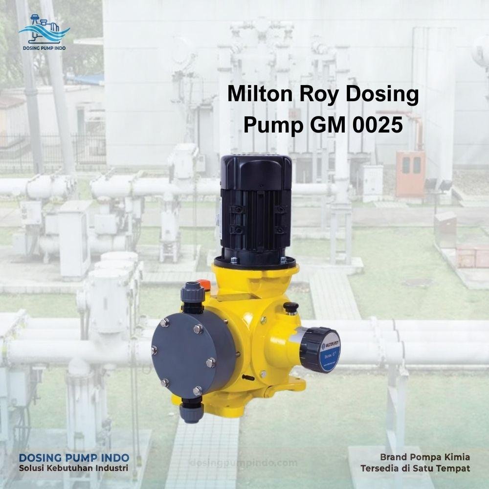 Milton Roy Dosing Pump 