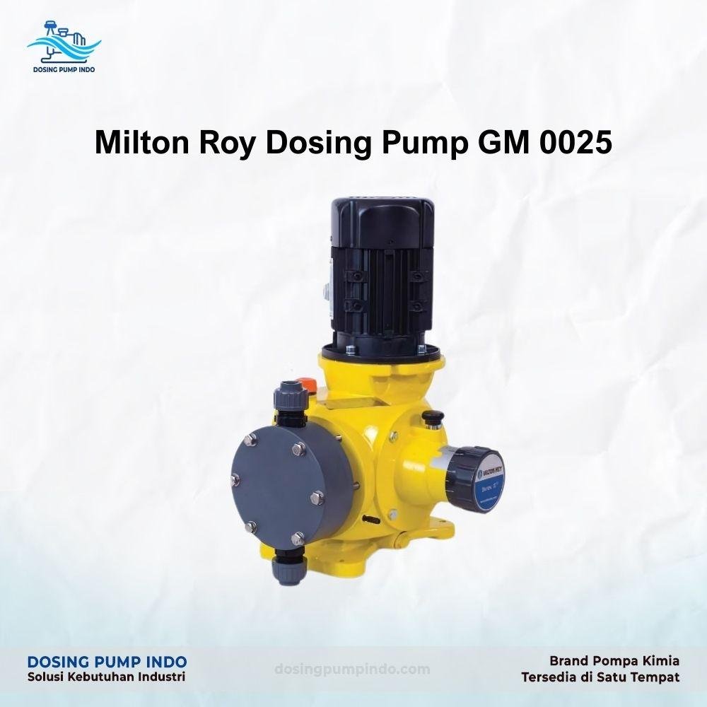 Milton Roy Dosing Pump GM 0025-1