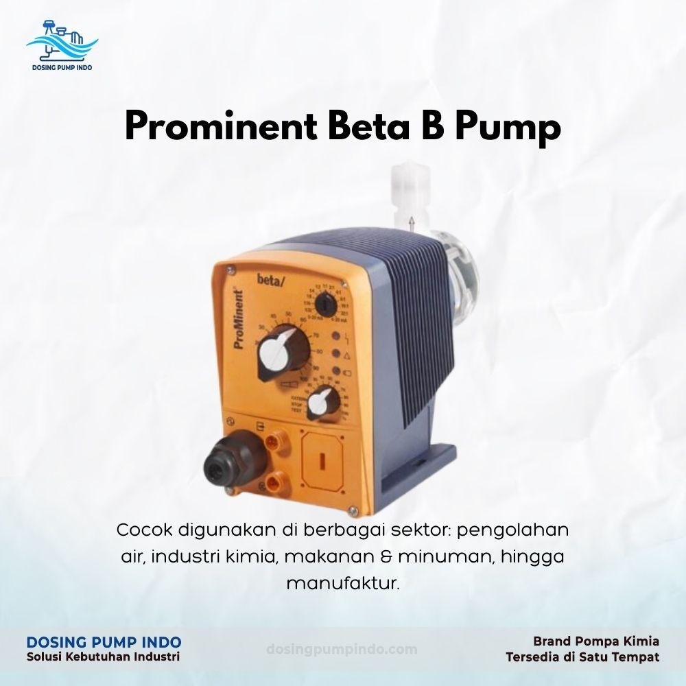 Prominent Beta  Pump