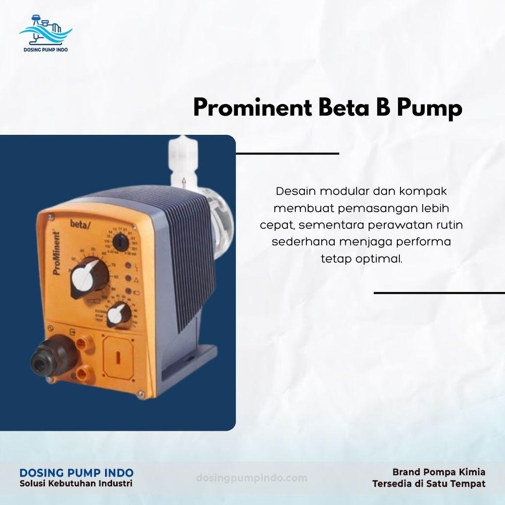 Prominent Beta B Pump