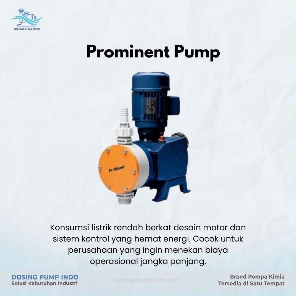 Prominent Pump